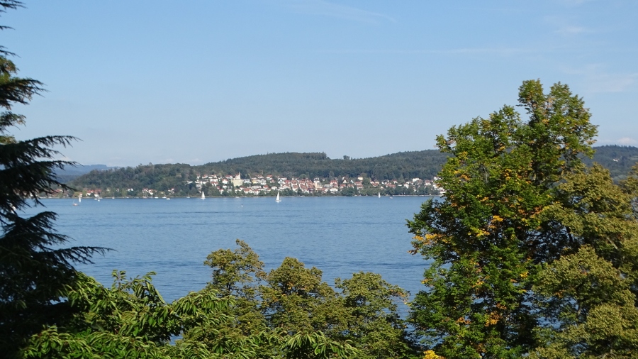 DSC06686.jpg