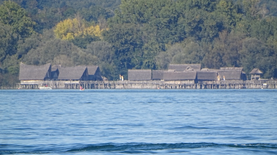 DSC06725.jpg