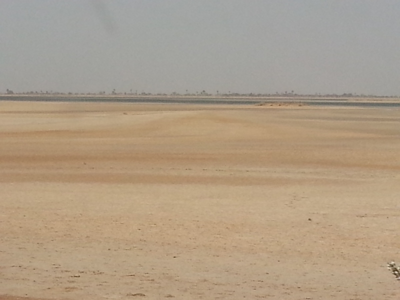 20150216_113145.jpg