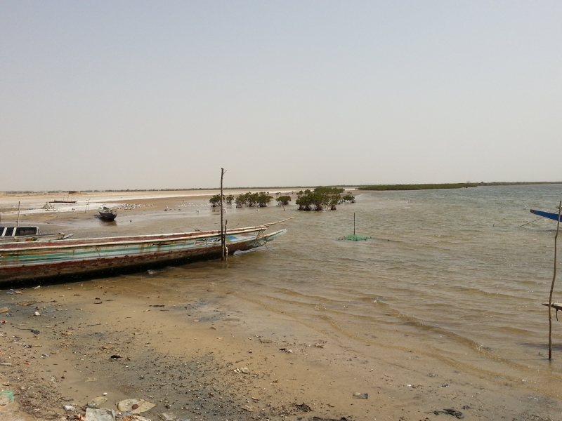 20150216_115106.jpg