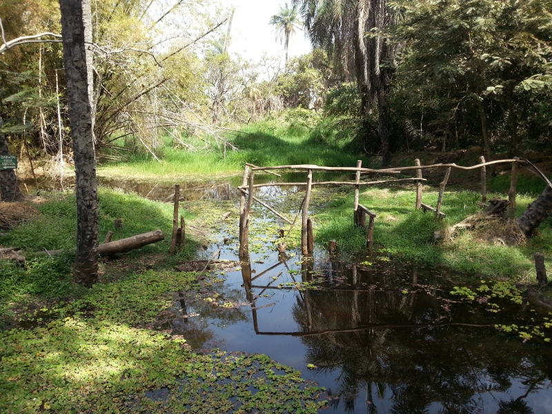20150217_112700.jpg