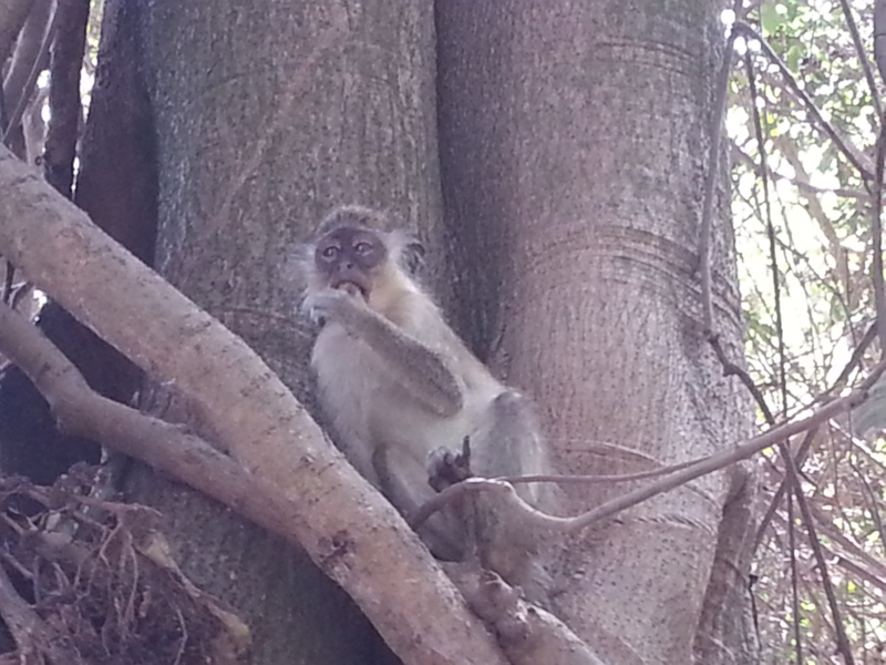 20150217_120542.jpg
