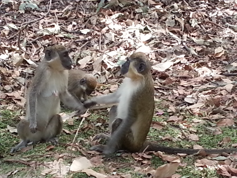 20150217_120706.jpg