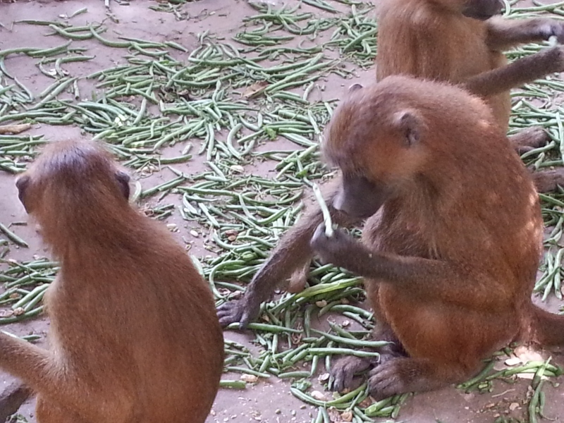 20150217_120913.jpg