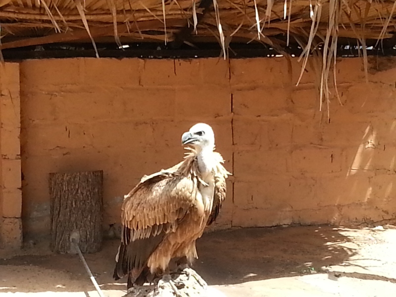 20150217_125603.jpg
