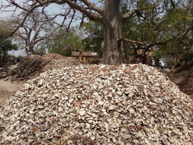 20150217_132410.jpg