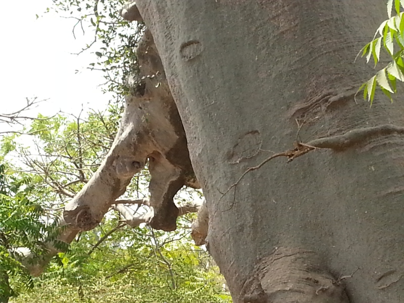 20150217_132639.jpg