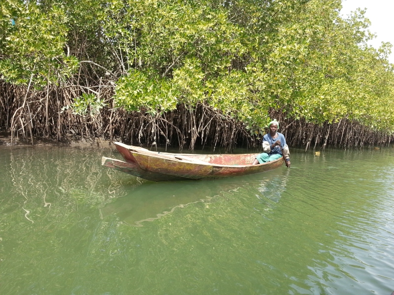 20150217_141424.jpg