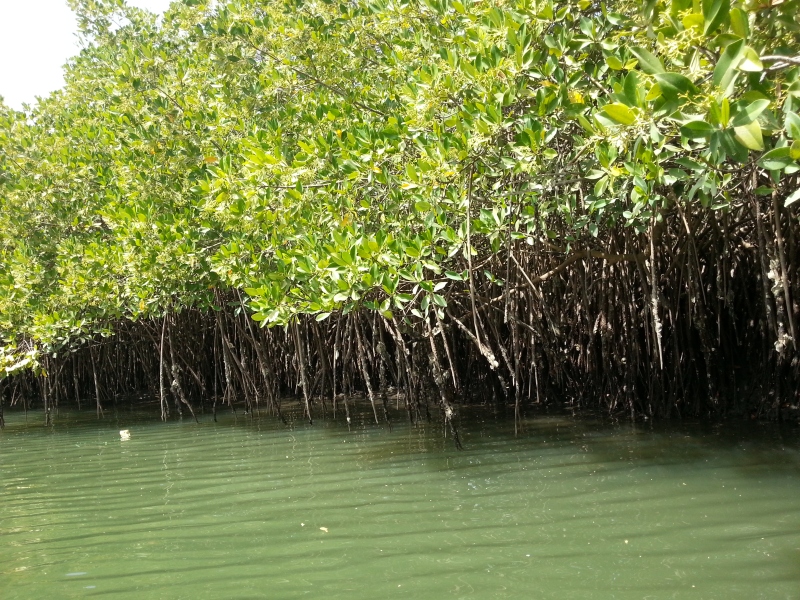 20150217_141809.jpg