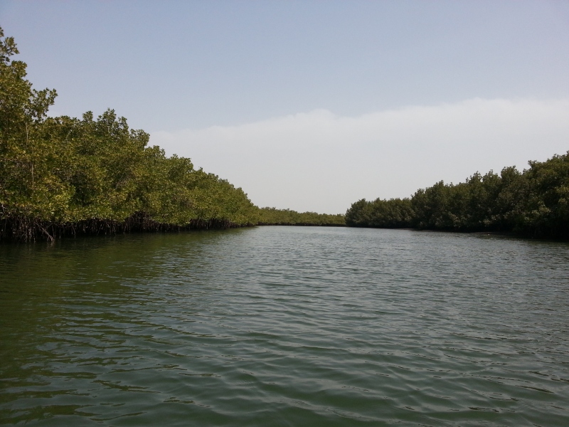 20150217_141958.jpg