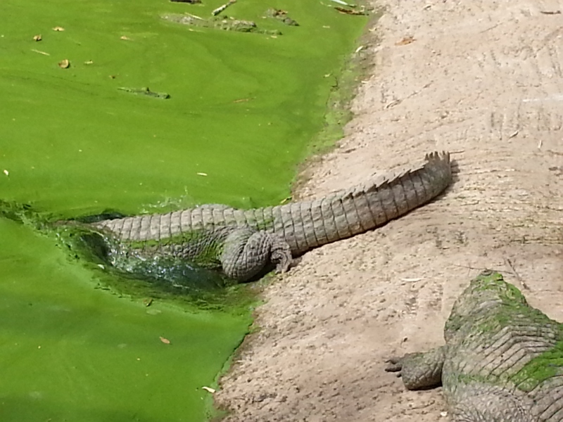 20150217_161704.jpg