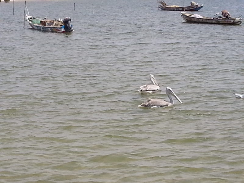 20150218_122857.jpg