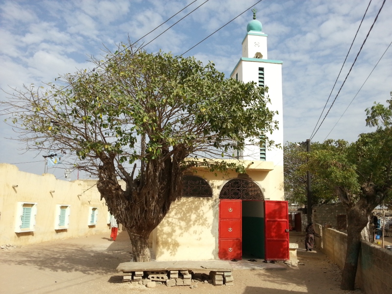 20150218_164155.jpg