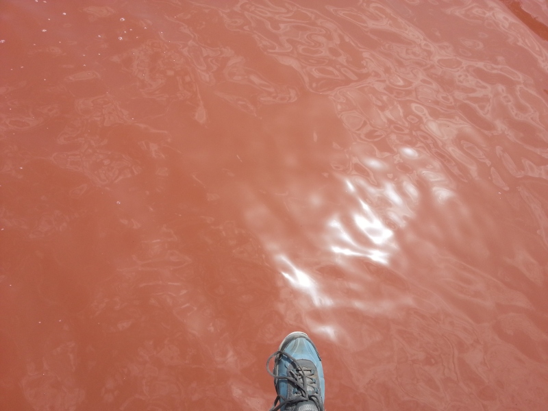 20150219_142217.jpg