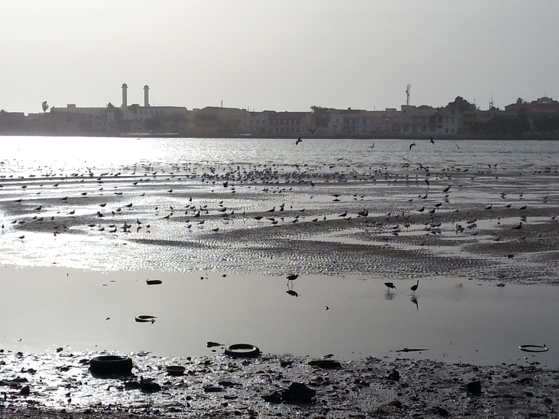 20150220_174658.jpg