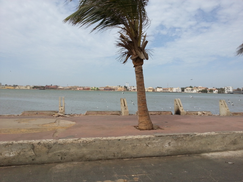 20150221_111612.jpg