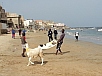 20150215_102824.jpg