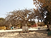 20150215_145315.jpg