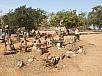 20150215_153145.jpg