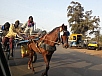 20150216_083244.jpg
