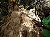 20150217_112511.jpg