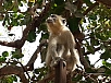 20150217_114736.jpg