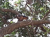 20150217_114944.jpg