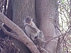 20150217_120542.jpg