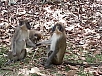20150217_120706.jpg