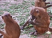 20150217_120913.jpg