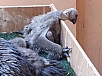 20150217_122951.jpg