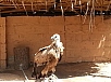 20150217_125603.jpg