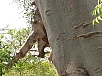 20150217_132639.jpg