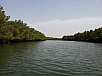 20150217_141958.jpg