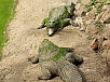 20150217_161629.jpg