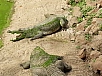 20150217_161658.jpg