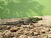 20150217_163201.jpg
