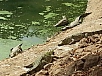 20150217_163312.jpg