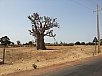 20150218_114444.jpg