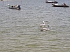 20150218_122857.jpg