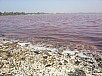 20150219_162119.jpg