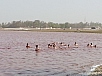 20150219_162138.jpg