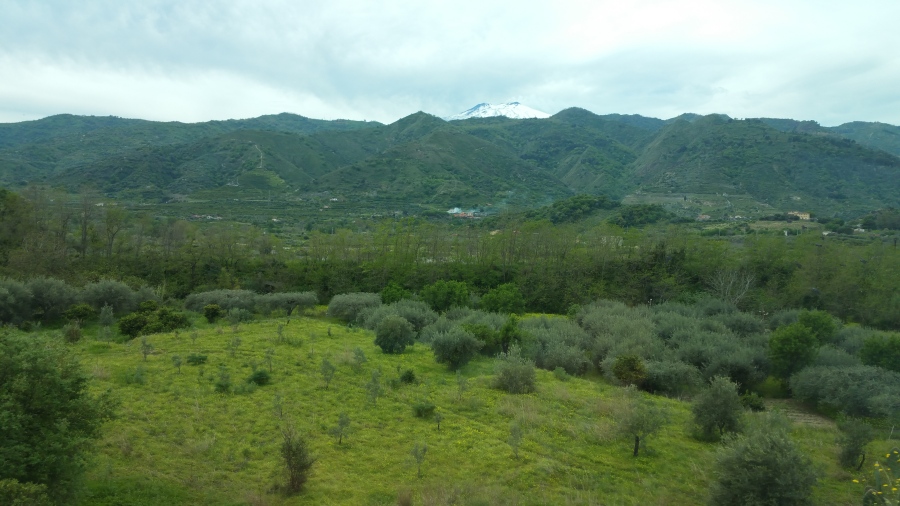 20170409_114514.jpg