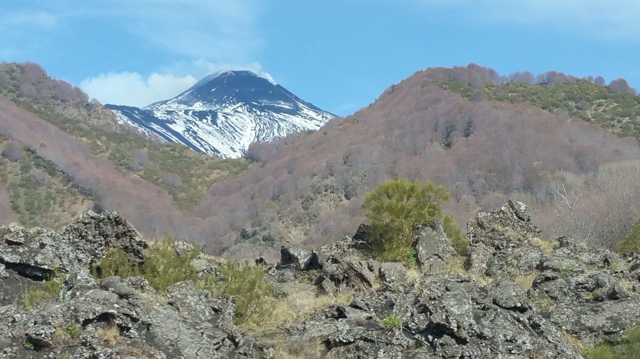 20170410_095038.jpg