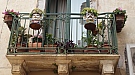 20170409_100445.jpg