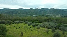 20170409_114514.jpg