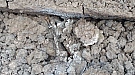 20170410_115321.jpg