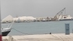 IMG_20230520_083610_1.jpg