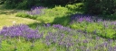 IMG_20230715_150504.jpg
