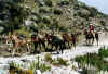 Merida - Loma Redonda